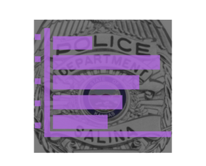 Salina Police Incident Data (July 25)