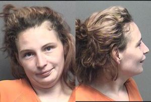 Saline County Jail Booking Activity - Monday