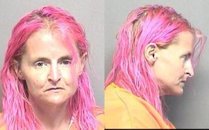 Saline County Jail Booking Activity - Monday