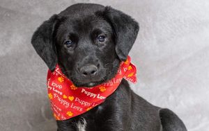 Tuesday Morning Briefing