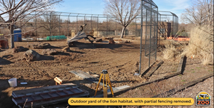 Rolling Hills Zoo Gives Pride of the Prairie Update