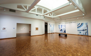 Opening Reception at Salina Art Center