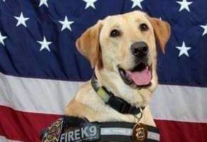 Happy Birthday to Salina’s Fire Pup