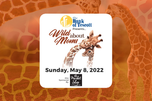 Wild About Moms