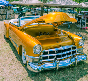 Volunteer for Leadsled