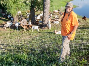 Weeds No Match for This Trip