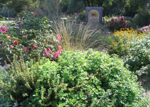 Must See Gardens Tours