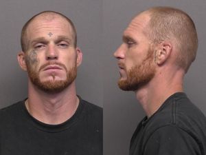 K9 Officer Apprehends Suspect After Early Morning Pursuit