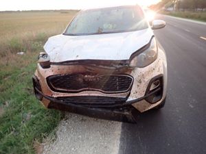 UPDATE: Horses Hit in Early Morning Accident