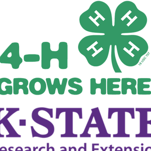 4-H Celebration of Achievements November 6