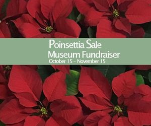 Poinsettia Sale Museum Fundraiser