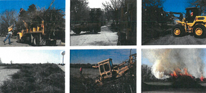 Commissioners Hear Discussion on Cleaning up City's Tree Canopy