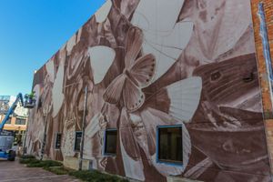Murals in Downtown Salina