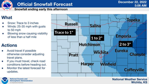 Snowfall Forecast