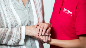 Preparing and Understanding the Senior Years