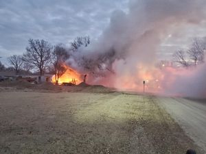 3 dogs lost in New Cambria Fire