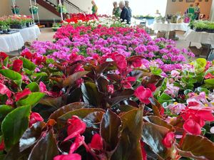 Theatre Salina Guild's Annual Flower Sale