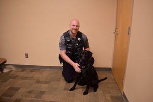 More than just Therapy Dogs