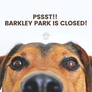 Barkley Park Closure on Sunday