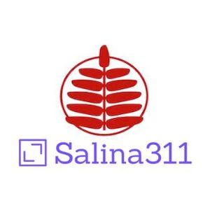 Red Fern Booksellers Set To Offer Salina311 Magazine Starting Next Week