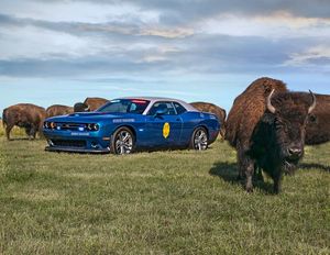 Cast Your Vote Now in the 10th Annual "America's Best Looking Cruiser" Calendar Contest