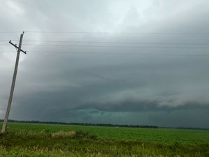 Rainfall Report: 1.13