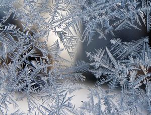 Park Facilities Prepare for Winter: Restrooms & Fountains to Receive Seasonal Attention