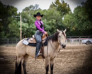 Salina Charity Horse Show
