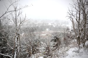 Heavy Snow Kicks-Off Winter Fun (Photo Gallery)