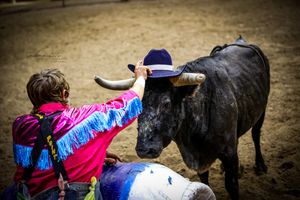 American Bull Fighting Championship