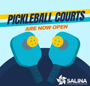 Pickleball, Anyone?