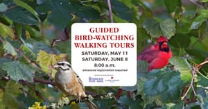 Guided Bird-Watching Tour at Rolling Hills Zoo
