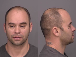 Police Respond to Shots Fired Incident: Suspect in Custody