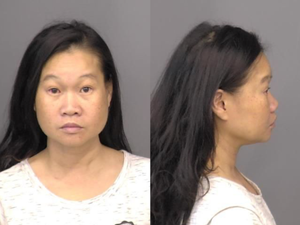 Vehicle Drives onto Salina Airport Runway; Driver Arrested