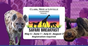 Breakfast with Hyenas