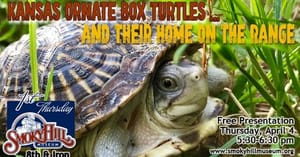 Kansas Ornate Box Turtles …         & their Home on the Range