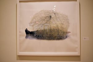 Mountain Plains Contemporary Art Biennial Now at Salina Art Center