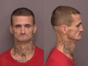 Police Pursuit Ends in Arrest of Driver