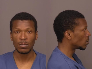 Man Arrested for Vehicle and Alcohol Theft After Naked Hotel Incident