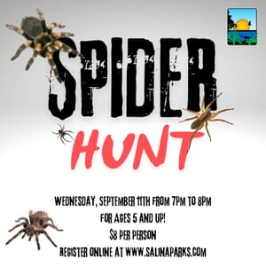 Lakewood Hosts Fascinating Spider Exploration Event