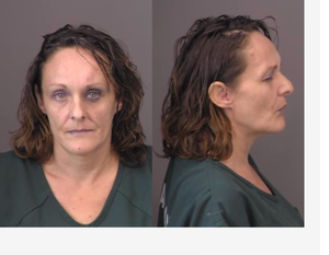 Woman Arrested for Public Nudity Incident in Salina