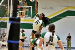Cougars Volleyball Defeats Derby 2-0 (Photo Gallery)