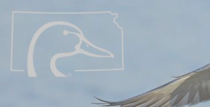 Ducks Unlimited Chapter Returns to Salina with Spring Banquet