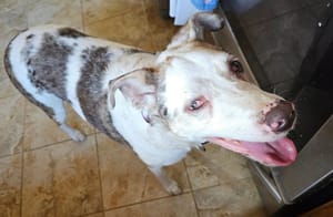 UPDATE: Gabbey Found Safe