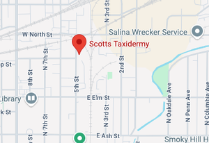 Fire at Scott's Taxidermy Under Investigation as Possible Arson