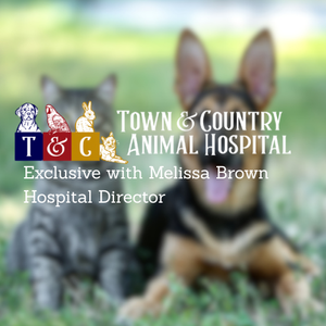 Exclusive: Melissa Brown Details What Salina's New After-Hours Vet Care Means for Local Pet Owners