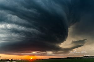 Rainfall Report: 1.7 Inches