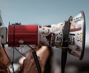 Disturbance and Battery Incident Involving Street Preachers in Salina