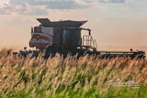 Saline County Wheat Harvest 2025: Photo Gallery