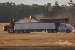 Kansas Harvest Starts Late with 45% of Wheat Rated Good to Excellent